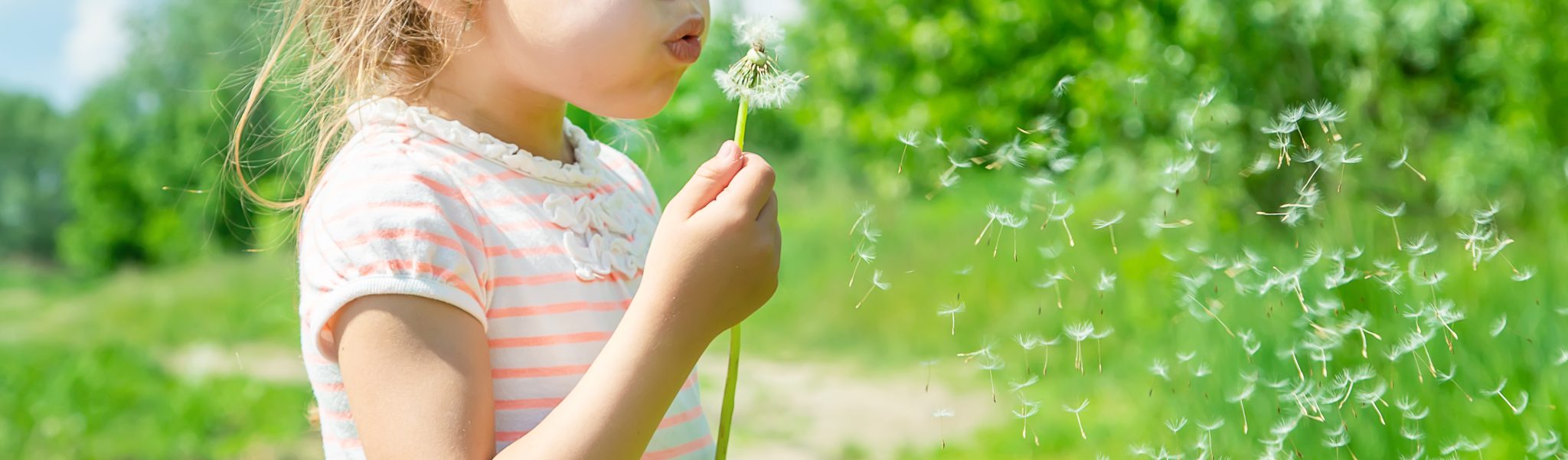  Über uns – WaldorfkindergartenSonnenberg Motiv 